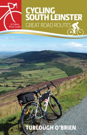 Cover of the book Cycling South Leinster by Dolores Cannon