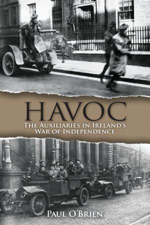 Cover of the book Havoc by Dr Tony Bates