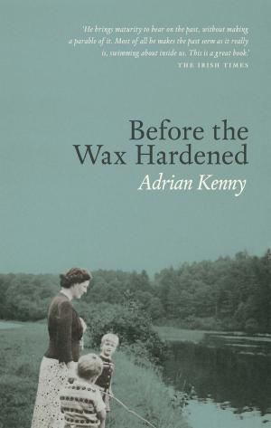 Cover of the book Before the Wax Hardened by J.P. Donleavy