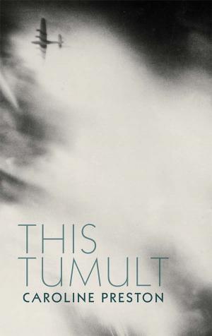 Cover of the book This Tumult by Aodogan O'Rahilly