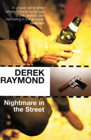Book cover of Nightmare in the Street