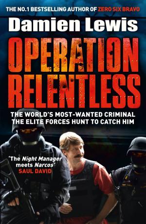 Cover of the book Operation Relentless by Anja Zimmer