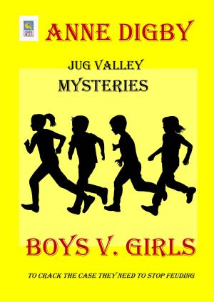 Book cover of Jug Valley Mysteries BOYS v GIRLS