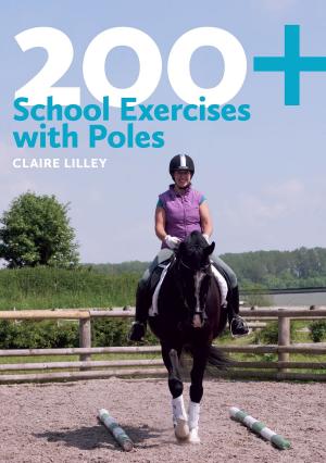 Cover of the book 200+ School Exercises with Poles by Nij Vyas