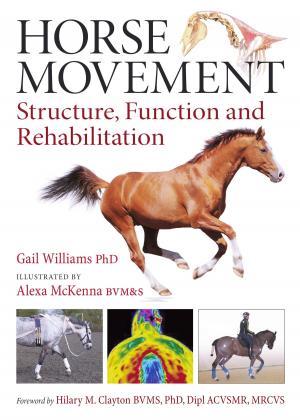 Cover of the book Horse Movement by Shaun Rawcliffe