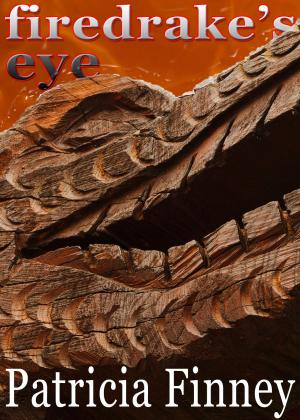 Cover of the book Firedrake's Eye by John Denton