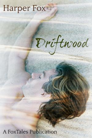 Cover of the book Driftwood by Ron Hansen