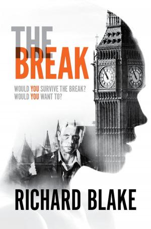Cover of the book The Break by Graham Smith