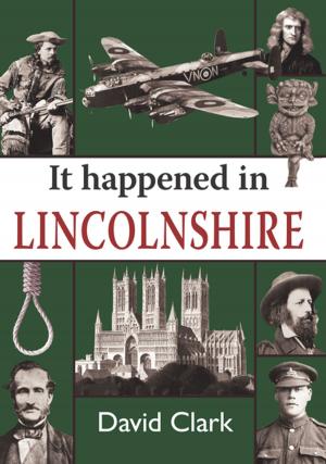 Cover of the book It Happened in Lincolnshire by Michael Brook