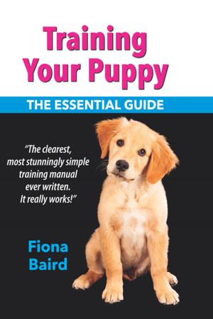 Cover of the book Training Your Puppy by Jeremy James