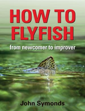 Cover of the book How to Flyfish by David Joy, Eric Rickstad