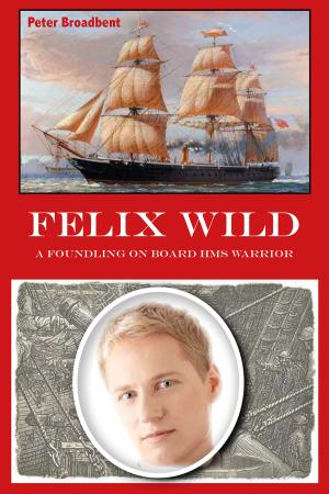 Book cover of Felix Wild