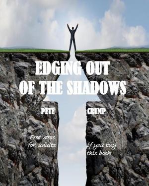 Cover of the book Edging Out Of The Shadows by Lee Benson