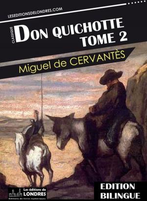 Cover of Don Quichotte, Tome 2