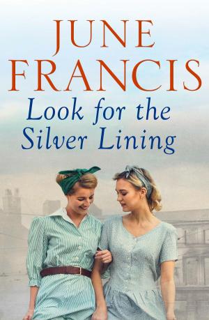 Book cover of Look for the Silver Lining