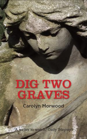 Cover of the book Dig Two Graves by Ross Fitzgerald, Ian McFadyen