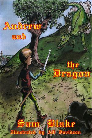 Book cover of Andrew and the Dragon