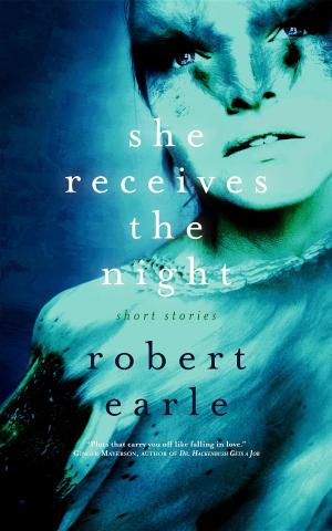 Cover of the book She Receives the Night by Bauke Kamstra