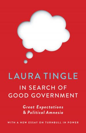Cover of the book In Search of Good Government by Kayte Nunn