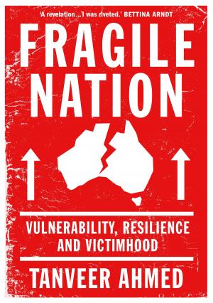 Cover of the book Fragile Nation by David Lawrence