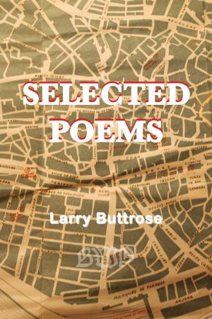 Cover of the book Selected Poems by K. C. Boone, MSFE