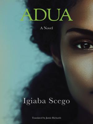Cover of the book Adua by Milena Michiko Flasar