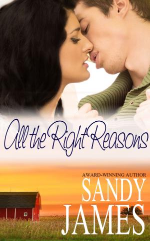 Cover of the book All the Right Reasons by Barbara Speak