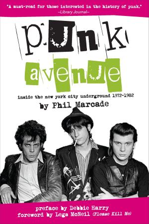 Cover of the book Punk Avenue by Kat Georges