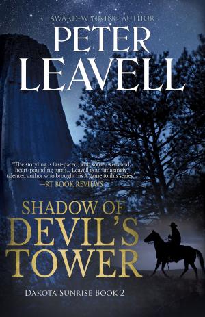 Book cover of Shadow of Devil's Tower