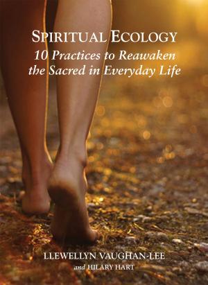 Cover of the book Spiritual Ecology by Llewellyn Vaughan-Lee, Sandra Ingerman, Joanna Macy, Thich Nhat Hanh, Bill Plotkin, Father Richard Rohr, Vandana Shiva, Brian Swimme, Mary Tucker, Wendell Berry