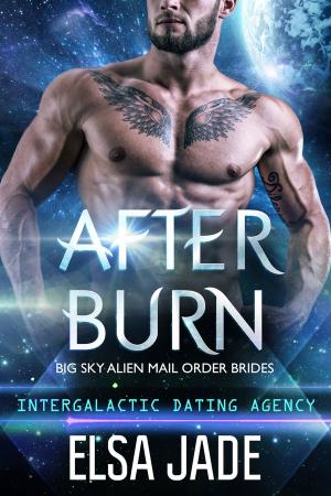Book cover of After Burn: Big Sky Alien Mail Order Brides #4 (Intergalactic Dating Agency)