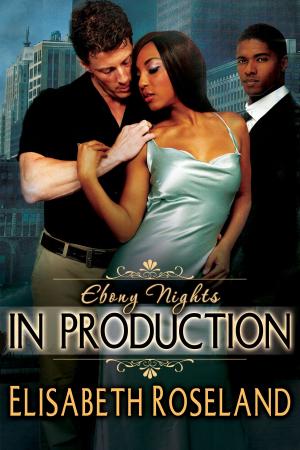 Book cover of In Production