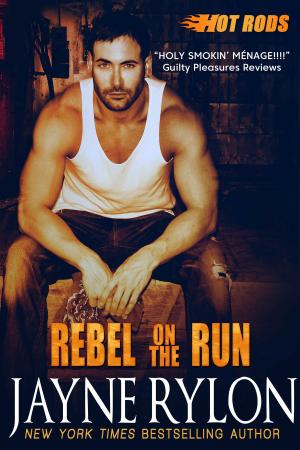 Cover of the book Rebel on the Run by Lauren Hillbrand