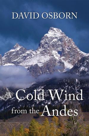 Book cover of A Cold Wind from the Andes