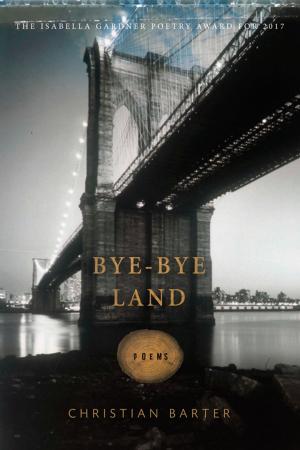 Cover of the book Bye-Bye Land by Naomi Shihab Nye
