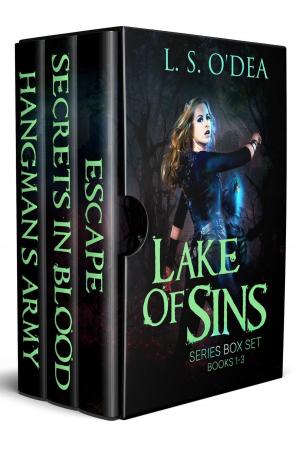 Book cover of Lake of Sins Series Box Set Books 1-3