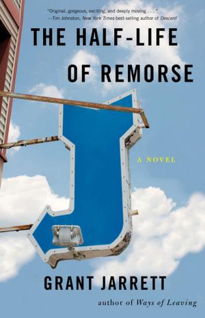 Cover of the book The Half-Life of Remorse by Lisa Consiglio Ryan