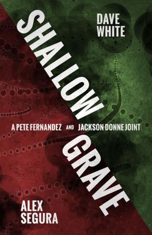 Cover of the book Shallow Grave by Monica J. O'Rourke