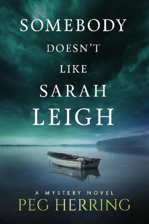 Cover of the book Somebody Doesn't Like Sarah Leigh by Peg Herring