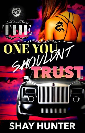 Cover of the book The One You Shouldn't Trust by Mikal Malone