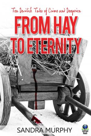 Cover of the book From Hay to Eternity by Percy Spurlark Parker