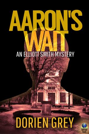 Cover of the book Aaron's Wait by Sarah Shankman