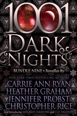 bigCover of the book 1001 Dark Nights: Bundle Nine by 