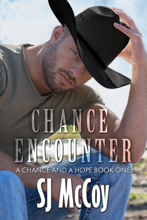 Cover of the book Chance Encounter by SJ McCoy