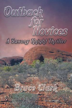 Cover of the book Outback for Novices by Cynthia Holzapfel