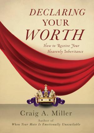 Cover of the book Declaring Your Worth by Robert Fine