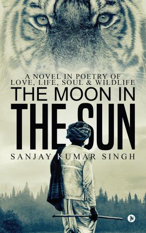 Book cover of The Moon in the Sun
