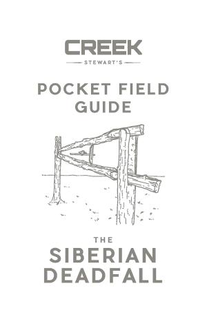 Cover of the book POCKET FIELD GUIDE by André LACROIX, Jean-Jacques SARFATI