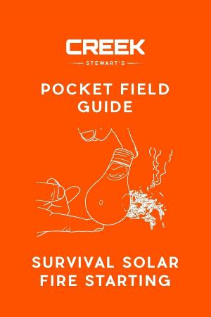 Book cover of POCKET FIELD GUIDE