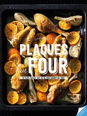 Cover of the book Plaques au four by Collectif